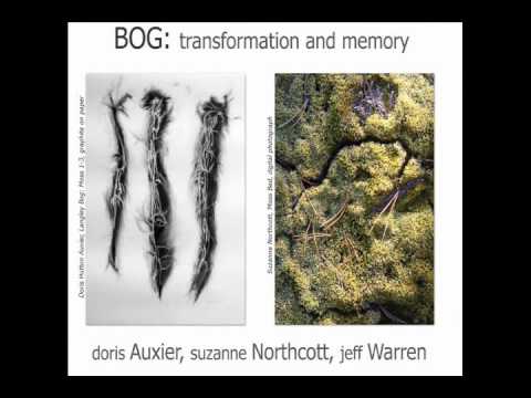 Bog: Transformation and Memory