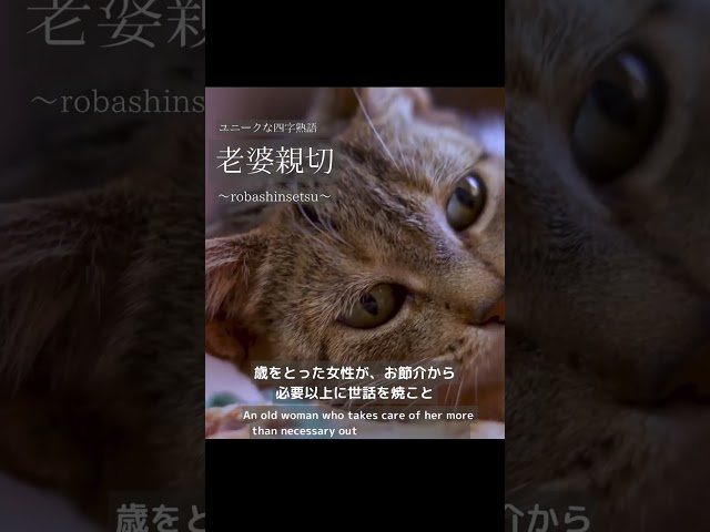 老婆親切(ろうばしんせつ)NEW!