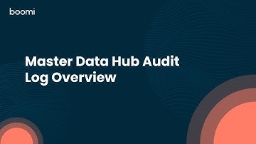 Master Data Hub Audit Log Overview
