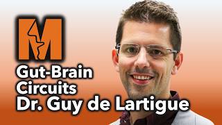 Disentangling gut-brain circuits that control feeding behavior