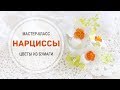 Мастер-класс &quot;Нарциссы&quot;