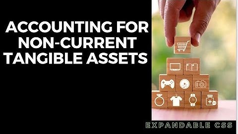 Accounting for Non-current Tangible Assets #css