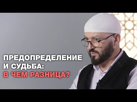 Предопределение и судьба: в чем разница?  Ислам и жизнь