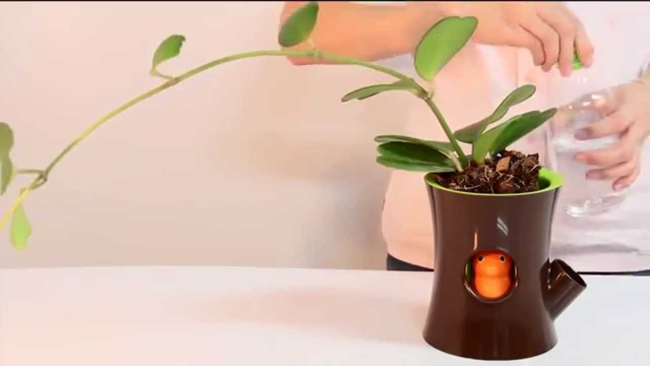 Qualy Blumentopf ‚Log & Squirrel‘ – Selbstbewässernd, Mit Eichhörnchen-Deko, 15 Cm Hoch