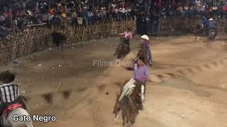 Gato Negro En Buctzotz Fiesta Tradicional