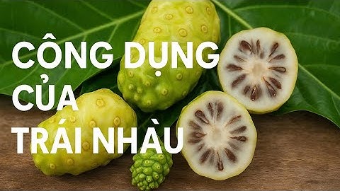 Khám phá quả nhàu tươi I tác dụng của trái nhàu trong bài thuốc dân gian đối với sức khỏe