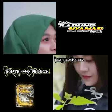 ⚡Coleb Video literasi DJ antasallam ❤️Srikandi PSHT & Srikandi Pagar nusa⚡~yay haidar~terate emas