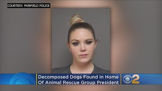 Former Animal Rescue Worker Faces Animal Cruelty Charges After Remains Of Dogs Are Found