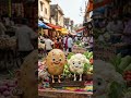 aalu gobhi ka famous batchit ho rahi hai 👍👍#AlooGobiComedy 😂🥔🥦#DesiComedy#FunnyShorts#ViralComedy#