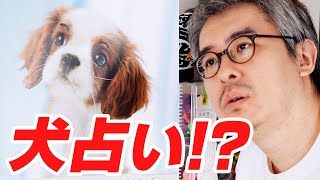 【ついに判明】動画の更新が止まってしまう理由がわかりました。