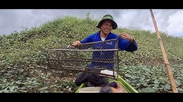 NT 67 lll Thăm dỡ lợp trong rừng tràm ngày mưa bão (tập 7)