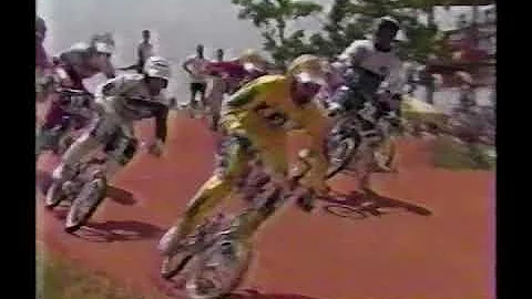 1987 IBMXF World Championships (9) : AA PRO MAIN :...