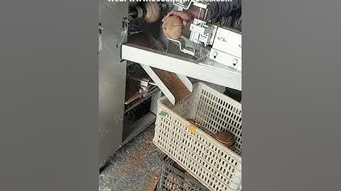 Automatic Coconut Hard Shelling Removing Machine