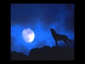 Wolf howling at night sound effect