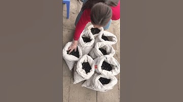 Lục giác chìm 12.9 các size