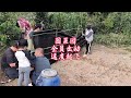 围菜园全员出动,速度就是快!#我的小菜园 #三农#付出