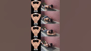 No Equipment Back Workout 💪 | 4x12 Bodyweight Only! #shorts