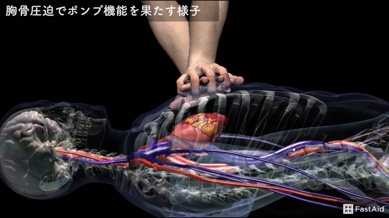 3 CPR（心肺蘇生法）とは