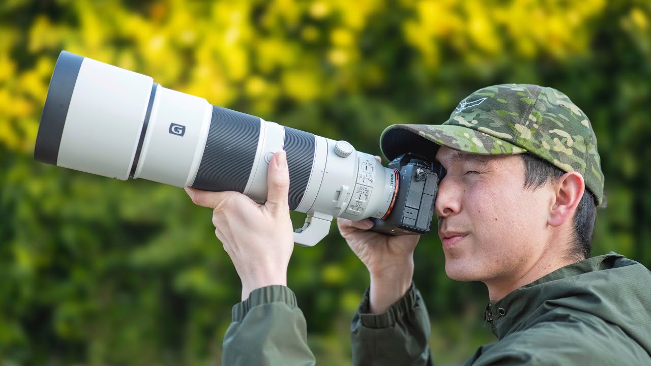 Sony 200-600 Review for Wildlife/Bird Photography 