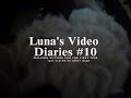 Walked her for the first time just to get scared by barking dogs| Luna's Video Diaries #10