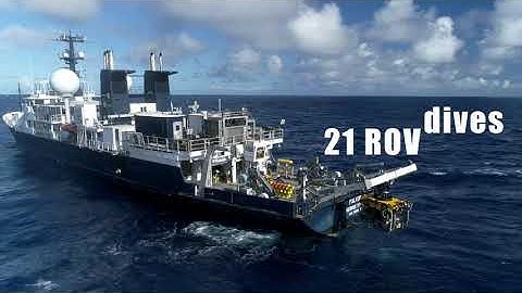 Expedition in Numbers: Seamounts, Canyons, and Reefs of the Coral Sea