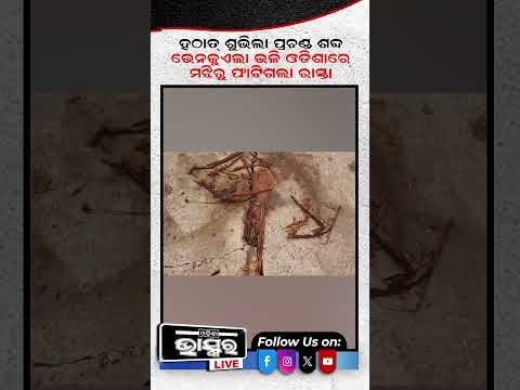 ଭେନେଜୁଏଲା ଭଳି ଓଡ଼ିଶାରେ ଫାଟିଲା ରାସ୍ତା !  #shortsvideo #ytshorts  #odishabhaskar
