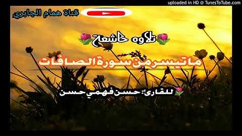 صوت جميل القارئ حسن فهمي