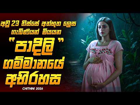 ගැබිණි කාන්තාවන් අතුරුදන් වෙන ගමේ අභිරහස 😱🔥 | Chithini Malayalam Movie Sinhala