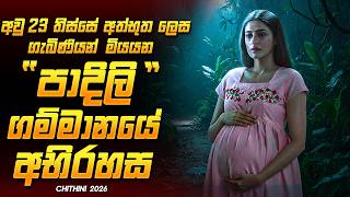 Download lagu ගැබිණි කාන්තාවන් අතුරුදන් වෙන ගමේ අභිරහස 😱🔥 | Chithini Malayalam Movie Sinhala