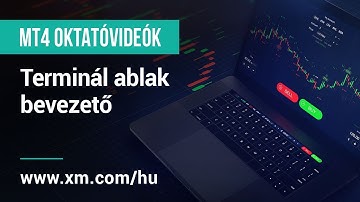 XM.COM - MT4 oktatóvideók - Terminál ablak - bevezető