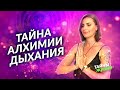 АЛХИМИЯ ДЫХАНИЯ АКТИВИРУЕТ МОЗГ ДО УРОВНЯ БОГ! ВСЯ ПРАВДА О ВЛИЯНИИ ДЫХАНИЯ НА ТЕЛО. Натали Леру