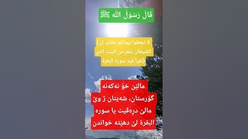 (لا تجعلوا بيوتكم مقابر، إن الشيطان ينفر من البيت الذي تقرأ فيه سورة البقرة) #اكسبلور