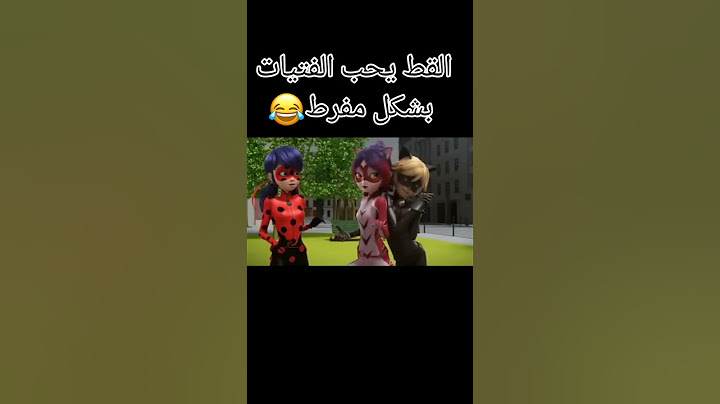 أصبحنا عائلة😂😂القط الأسود يتفاجئ بالفيتات😶نمرة بنفسجية(تصميم ميراكلس الدعسوقة والقط
