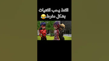 أصبحنا عائلة القط الأسود يتفاجئ بالفيتات نمرة بنفسجية تصميم ميراكلس الدعسوقة والقط 