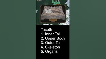 How to dissect Tasoth | Artificer: Science of Magic