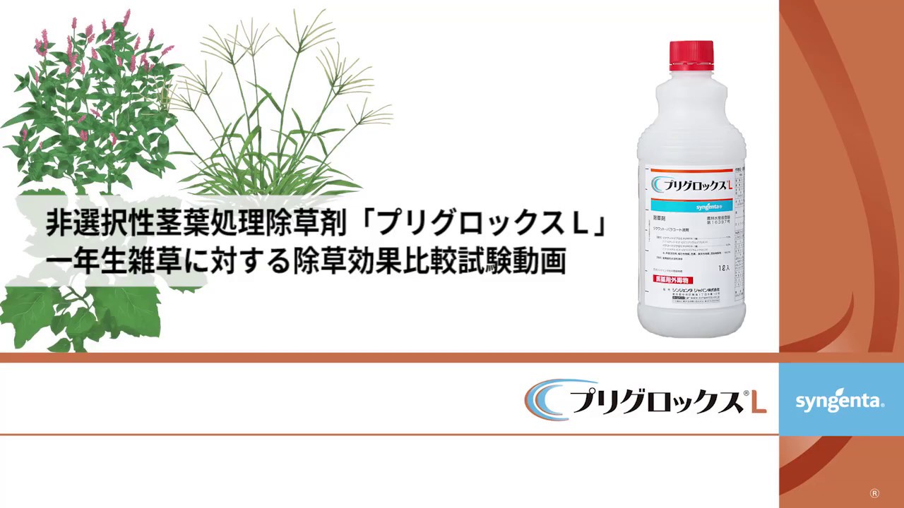 非選択性茎葉処理除草剤 プリグロックスl の一年生雑草に対する除草効果比較試験動画 Youtube 非選択性茎葉処理除草剤 プリグロックスl の一年生雑草に対する除草効果比較試験動画 Youtube