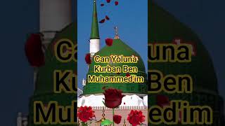 Can Muhammedim