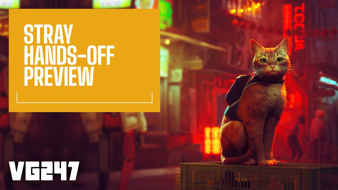 These Stray-Branded Accessories Let You Transport Your Cat With Futuristic  Flair - Game Informer