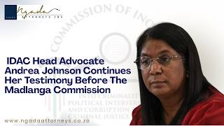 The IDAC head, Advocate Andrea Johnson, testifies before the Madlanga commission.