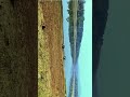 get vibe now | Master piece BGM | trending now | bike riding in Dam #shorts #reels #viral #trending
