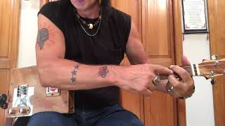 gold dust woman lesson for 3 string cigar box guitars