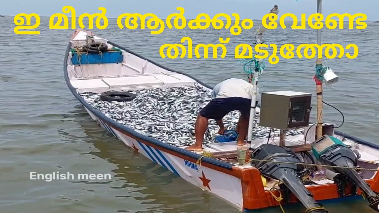 ഇ മീൻ ആർക്കും വേണ്ടേ തിന്ന് മടുത്തോ fishing Kerala fishing
