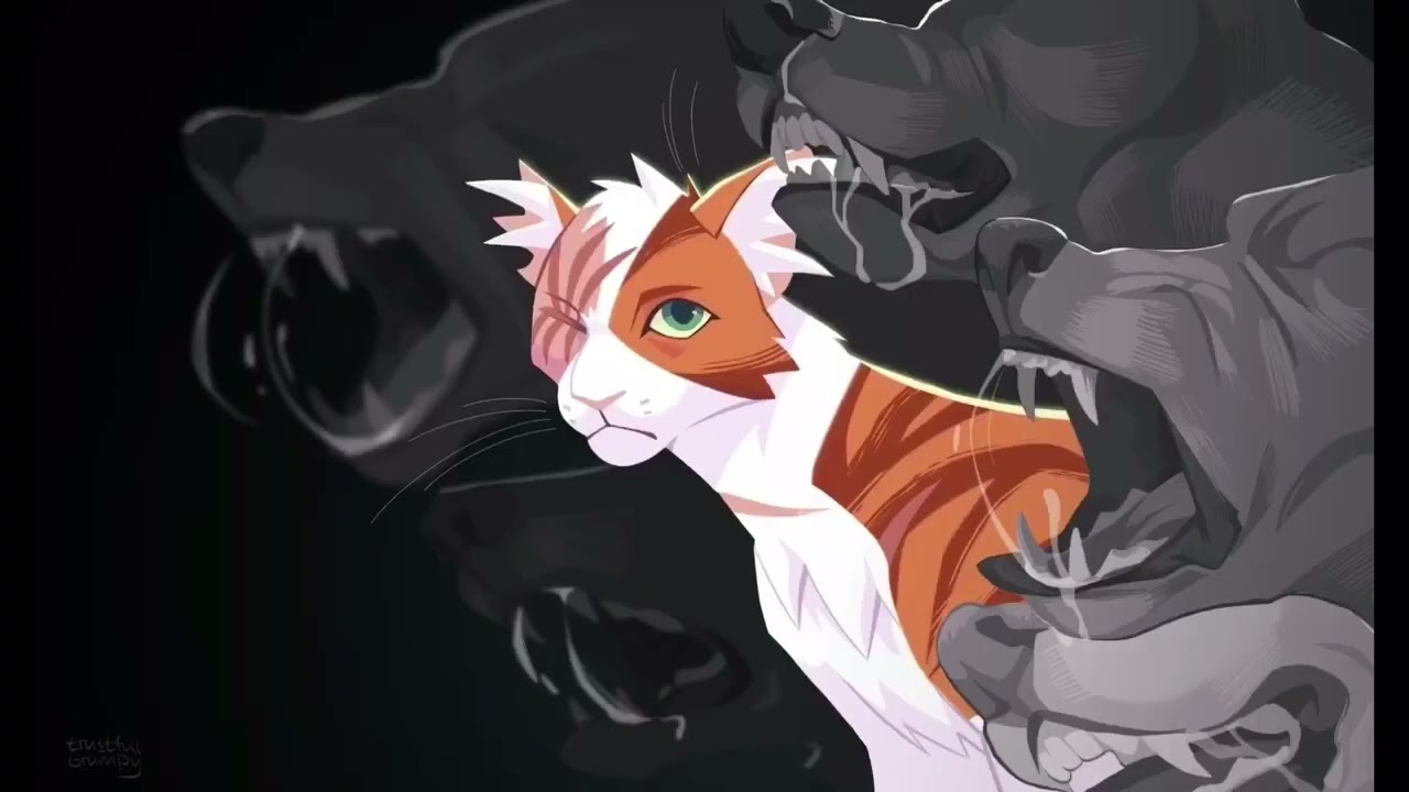 Яролика коты воители фото