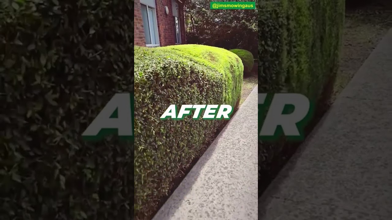 Shape Up Your Garden with Precision Hedge Trimming! ​ 📞 Call 131 546 for a free quote! ​
