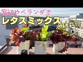 【レタスミックス水耕栽培】種まき~栽培のコツを掴んで室内やベランダで収穫♪