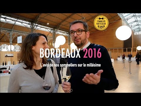 Millesime 2016 À Bordeaux : Les Vins À Ne Pas Rater