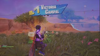 Fortnite gane 1