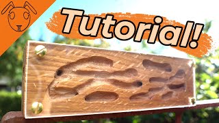 Wooden Ant Nest *Tutorial*