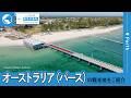 [パースの観光地をご紹介]ピナクルズ、ロットネスト島など【阪急交通社 公式】