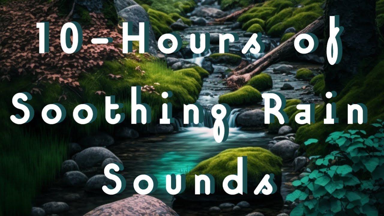 Relaxing Rain Sounds in Forest for Sleep and Serenity - 10 Hour Video